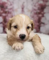 processed/3015d7df-753c-4399-9bf2-94b1185648ce/facility/77c2ba6d-5a9b-432e-914c-ea6ccb2109fc