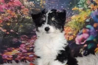 processed/3015d7df-753c-4399-9bf2-94b1185648ce/facility/8597bdcf-ca26-42a4-9788-04e3d3d221cd