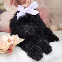 processed/3015d7df-753c-4399-9bf2-94b1185648ce/facility/e1dc7b68-2431-4589-b697-9f7bbe53d825