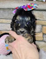 processed/3015d7df-753c-4399-9bf2-94b1185648ce/listing/08db42a6-5074-4dd6-8f8e-c1e661d74c21/19d3ff5b-9046-4164-86c0-4a28b6acac37