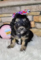 processed/3015d7df-753c-4399-9bf2-94b1185648ce/listing/08db42a6-5074-4dd6-8f8e-c1e661d74c21/284a4392-18d2-47b7-8c66-eb8aabefa31d