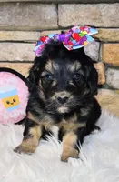 processed/3015d7df-753c-4399-9bf2-94b1185648ce/listing/08db42a6-5074-4dd6-8f8e-c1e661d74c21/3493c228-37ce-462a-879a-5794b871b2df