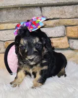 processed/3015d7df-753c-4399-9bf2-94b1185648ce/listing/08db42a6-5074-4dd6-8f8e-c1e661d74c21/c6bd4f99-53d6-4a7f-87b5-cb6ac540f905