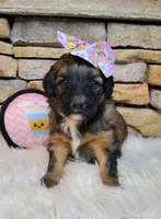 processed/3015d7df-753c-4399-9bf2-94b1185648ce/listing/0c1c6534-5aa7-46e5-96ba-0016ddb0a3cf/2cfdde20-c585-4602-8965-94f3753107b4