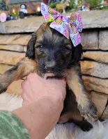 processed/3015d7df-753c-4399-9bf2-94b1185648ce/listing/0c1c6534-5aa7-46e5-96ba-0016ddb0a3cf/52c52eba-8287-4708-afb6-1c3c562aa08c