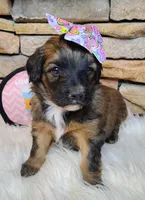 processed/3015d7df-753c-4399-9bf2-94b1185648ce/listing/0c1c6534-5aa7-46e5-96ba-0016ddb0a3cf/89e429a2-33d5-40f9-bb7c-c279b30d668e