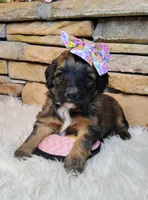 processed/3015d7df-753c-4399-9bf2-94b1185648ce/listing/0c1c6534-5aa7-46e5-96ba-0016ddb0a3cf/9a085582-1308-4dca-ac38-57001a92979c