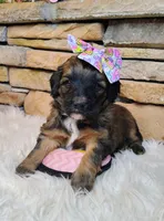 processed/3015d7df-753c-4399-9bf2-94b1185648ce/listing/0c1c6534-5aa7-46e5-96ba-0016ddb0a3cf/b943bcc5-b85f-4014-ab12-5e151517aa41