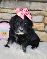 processed/3015d7df-753c-4399-9bf2-94b1185648ce/listing/27b2aa5e-f30b-4da6-b623-11fbb5299280/657e159d-5dc4-45e7-87aa-7b227638d487