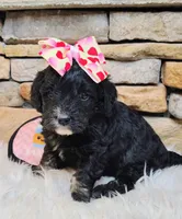 processed/3015d7df-753c-4399-9bf2-94b1185648ce/listing/27b2aa5e-f30b-4da6-b623-11fbb5299280/a95dac40-df81-4ca3-8d92-6b2e15958701