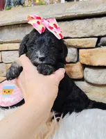 processed/3015d7df-753c-4399-9bf2-94b1185648ce/listing/27b2aa5e-f30b-4da6-b623-11fbb5299280/d060a7fe-bf64-463c-b2ed-895e6cddbac9