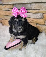 processed/3015d7df-753c-4399-9bf2-94b1185648ce/listing/3c4d8880-8a61-46c1-9217-31e7d6ba9939/094af2a9-be2c-436f-9d8b-b1858a922227