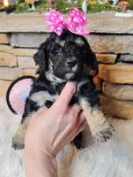 processed/3015d7df-753c-4399-9bf2-94b1185648ce/listing/3c4d8880-8a61-46c1-9217-31e7d6ba9939/5c8afb6f-536e-4760-9dd0-e8f7d7c372b1