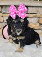 processed/3015d7df-753c-4399-9bf2-94b1185648ce/listing/3c4d8880-8a61-46c1-9217-31e7d6ba9939/85eff738-8600-4cbd-b341-eae0124d025a