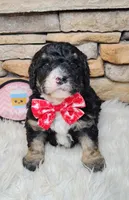 processed/3015d7df-753c-4399-9bf2-94b1185648ce/listing/43063a5b-2759-410d-90a2-21e2880caa4c/1e38a14b-0e49-448b-965e-6329db7d78e9