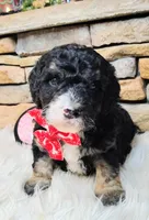 processed/3015d7df-753c-4399-9bf2-94b1185648ce/listing/43063a5b-2759-410d-90a2-21e2880caa4c/4bc0f9d5-ea6b-4d8d-8612-e226b8786ff8