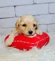 processed/3015d7df-753c-4399-9bf2-94b1185648ce/listing/a817113e-de47-4e7a-902d-37808628c5ee/8cae7231-7b68-410b-8ff1-9080f59e8d1a