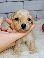 processed/3015d7df-753c-4399-9bf2-94b1185648ce/listing/a817113e-de47-4e7a-902d-37808628c5ee/96902baf-223c-47ff-84fc-194129d687c2