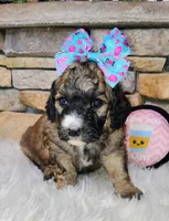 processed/3015d7df-753c-4399-9bf2-94b1185648ce/listing/c9966fca-6786-43aa-b6c8-bac56ea32533/4089a37a-f710-478a-ac7c-fce605aeb92f