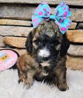 processed/3015d7df-753c-4399-9bf2-94b1185648ce/listing/c9966fca-6786-43aa-b6c8-bac56ea32533/450572b2-b7a6-4518-b2e6-a8db2a0a6ce0