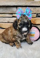 processed/3015d7df-753c-4399-9bf2-94b1185648ce/listing/c9966fca-6786-43aa-b6c8-bac56ea32533/a60fd82e-443c-46f7-bd8d-2ca3cda37159