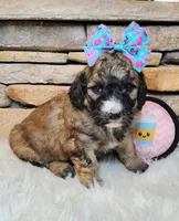 processed/3015d7df-753c-4399-9bf2-94b1185648ce/listing/c9966fca-6786-43aa-b6c8-bac56ea32533/f8b610f2-c0e8-4a0c-ac00-46e36dd84d54