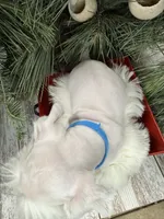 processed/301c0e44-6974-411c-a635-bb11337571c8/listing/27d0d00f-a794-4c13-9c06-11c2054a10d5/703133c6-e7ec-4ab9-8508-6d53319fa5b8