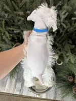 processed/301c0e44-6974-411c-a635-bb11337571c8/listing/27d0d00f-a794-4c13-9c06-11c2054a10d5/9357e0bd-68e6-4c50-b32f-ba80ee6a79e0