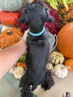 processed/301c0e44-6974-411c-a635-bb11337571c8/listing/4036642d-be11-405c-bc0f-5bd15eb9d3f1/0cdab4d9-6272-4a86-8516-3137a5526ed4