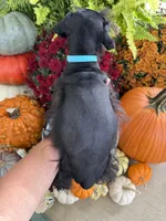 processed/301c0e44-6974-411c-a635-bb11337571c8/listing/4036642d-be11-405c-bc0f-5bd15eb9d3f1/6c02f85b-f851-484c-96d5-ebf466a7aedc