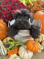 processed/301c0e44-6974-411c-a635-bb11337571c8/listing/4036642d-be11-405c-bc0f-5bd15eb9d3f1/c94a2363-f6b5-4ab4-af53-1d66307a3144