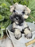 processed/301c0e44-6974-411c-a635-bb11337571c8/listing/4322f405-7944-42e9-afb6-ad1f800fc277/29f87117-f57c-4762-a462-b0474802af3d