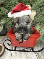 processed/301c0e44-6974-411c-a635-bb11337571c8/listing/4322f405-7944-42e9-afb6-ad1f800fc277/6b34be73-3236-46bf-be73-fb63cc0b3961