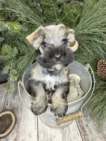 processed/301c0e44-6974-411c-a635-bb11337571c8/listing/4322f405-7944-42e9-afb6-ad1f800fc277/7da70da8-a099-43a4-9e7a-f47bca5786df