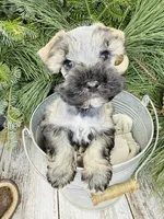 processed/301c0e44-6974-411c-a635-bb11337571c8/listing/4322f405-7944-42e9-afb6-ad1f800fc277/ea35fd60-6162-4d24-8e79-53782305c7ec