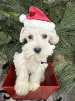 processed/301c0e44-6974-411c-a635-bb11337571c8/listing/5976a49b-5f54-4385-9f43-7f2fb2fd073b/316a7e6c-b321-42d3-9027-7e16ab68ff2b