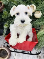 processed/301c0e44-6974-411c-a635-bb11337571c8/listing/5976a49b-5f54-4385-9f43-7f2fb2fd073b/44f33ba5-79ec-43ce-929b-3ad022cbb1f3