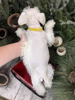 processed/301c0e44-6974-411c-a635-bb11337571c8/listing/5976a49b-5f54-4385-9f43-7f2fb2fd073b/531e1843-9f05-4812-9c28-43a9cf37f478