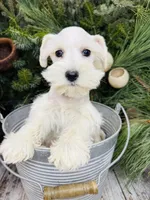 processed/301c0e44-6974-411c-a635-bb11337571c8/listing/5976a49b-5f54-4385-9f43-7f2fb2fd073b/d47c27c6-d8f8-44ff-87b7-3a74f647be26