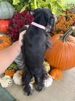 processed/301c0e44-6974-411c-a635-bb11337571c8/listing/b2cc6fb3-df2e-41eb-9f59-1e302064f2d4/234a2b61-5e72-4399-9ba0-905b4a76a460