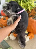 processed/301c0e44-6974-411c-a635-bb11337571c8/listing/b2cc6fb3-df2e-41eb-9f59-1e302064f2d4/5b59561f-34e0-4440-81c2-3d57499d0933