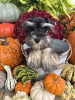 processed/301c0e44-6974-411c-a635-bb11337571c8/listing/b2cc6fb3-df2e-41eb-9f59-1e302064f2d4/a19f3cbc-8bec-43c8-8425-10055152e8ce