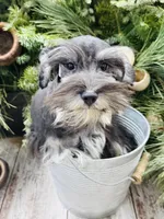 processed/301c0e44-6974-411c-a635-bb11337571c8/listing/b2cc6fb3-df2e-41eb-9f59-1e302064f2d4/a5c83a6c-9d2e-402c-81fe-8d94c8c680d7