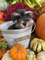 processed/301c0e44-6974-411c-a635-bb11337571c8/listing/b2cc6fb3-df2e-41eb-9f59-1e302064f2d4/d02eac9a-c083-4fd7-84b8-8b4e7d78bbfc