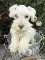 processed/301c0e44-6974-411c-a635-bb11337571c8/listing/caf7384c-57e6-4fad-ac12-fcf7862d6ef7/2c7c8f4e-a571-4bfb-b9ad-6a41dfac4b5a