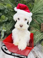 processed/301c0e44-6974-411c-a635-bb11337571c8/listing/caf7384c-57e6-4fad-ac12-fcf7862d6ef7/61e141f9-e2fe-4e12-8e8e-bf0a8f82ce06