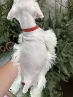 processed/301c0e44-6974-411c-a635-bb11337571c8/listing/caf7384c-57e6-4fad-ac12-fcf7862d6ef7/7dcd13ba-6a6a-4c3b-8a89-377c9c0d9aee