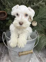 processed/301c0e44-6974-411c-a635-bb11337571c8/listing/caf7384c-57e6-4fad-ac12-fcf7862d6ef7/a01de1f2-01b3-4cf4-b3db-989f19b67548