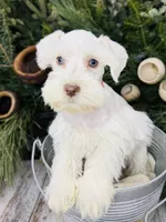 processed/301c0e44-6974-411c-a635-bb11337571c8/listing/caf7384c-57e6-4fad-ac12-fcf7862d6ef7/ce8fa5e7-9e16-4b05-a36b-1fa6589bed15