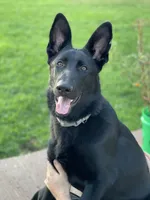 processed/30245e5b-f79d-4cfc-84e0-3105ef01e3bb/listing/a493a74a-848c-49e2-a4fc-51a105c8e980/415fe812-a7ad-4fe8-b8c8-f8d21b847f81